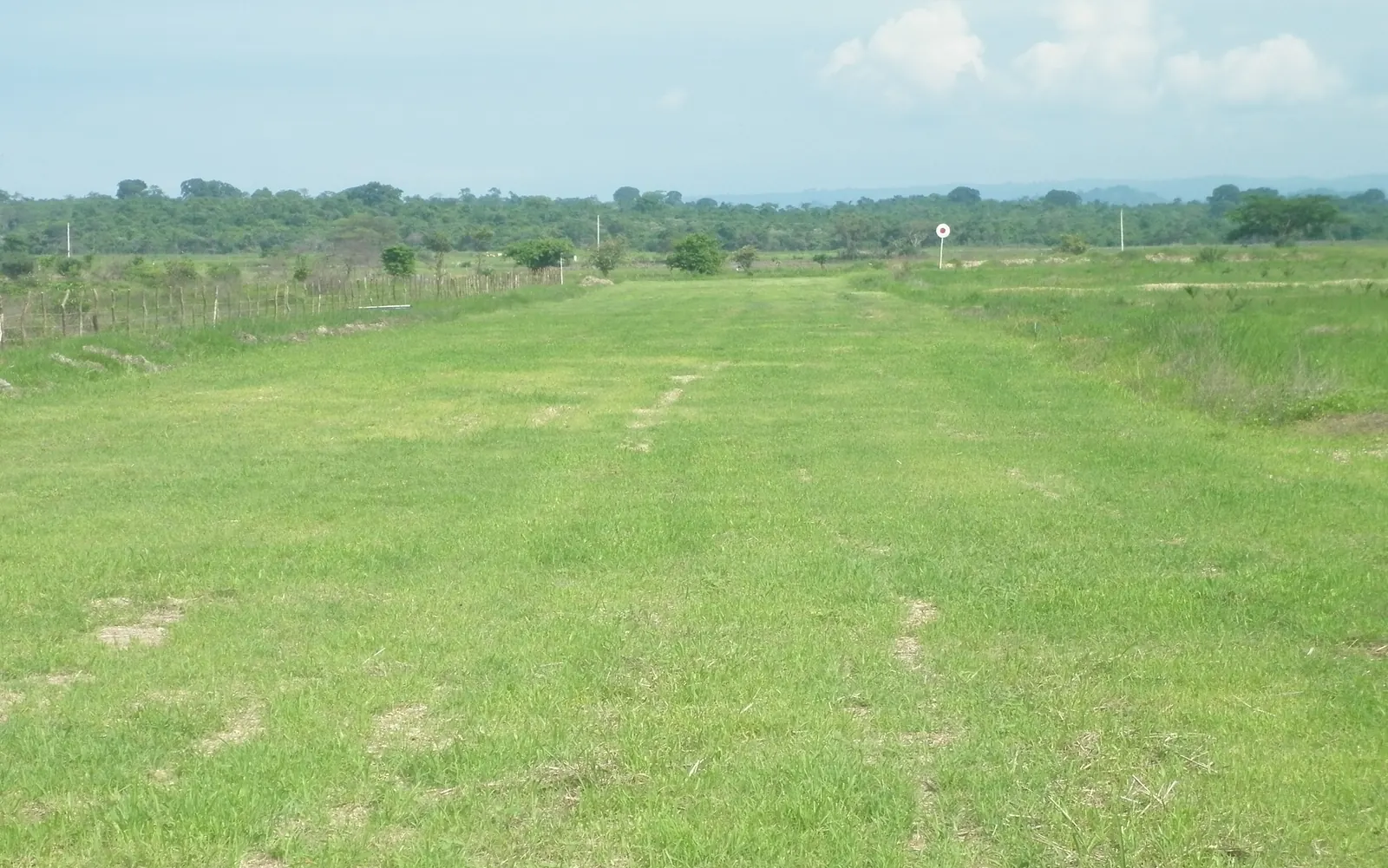 Pista de césped del aeroparque con el hangar al fondo